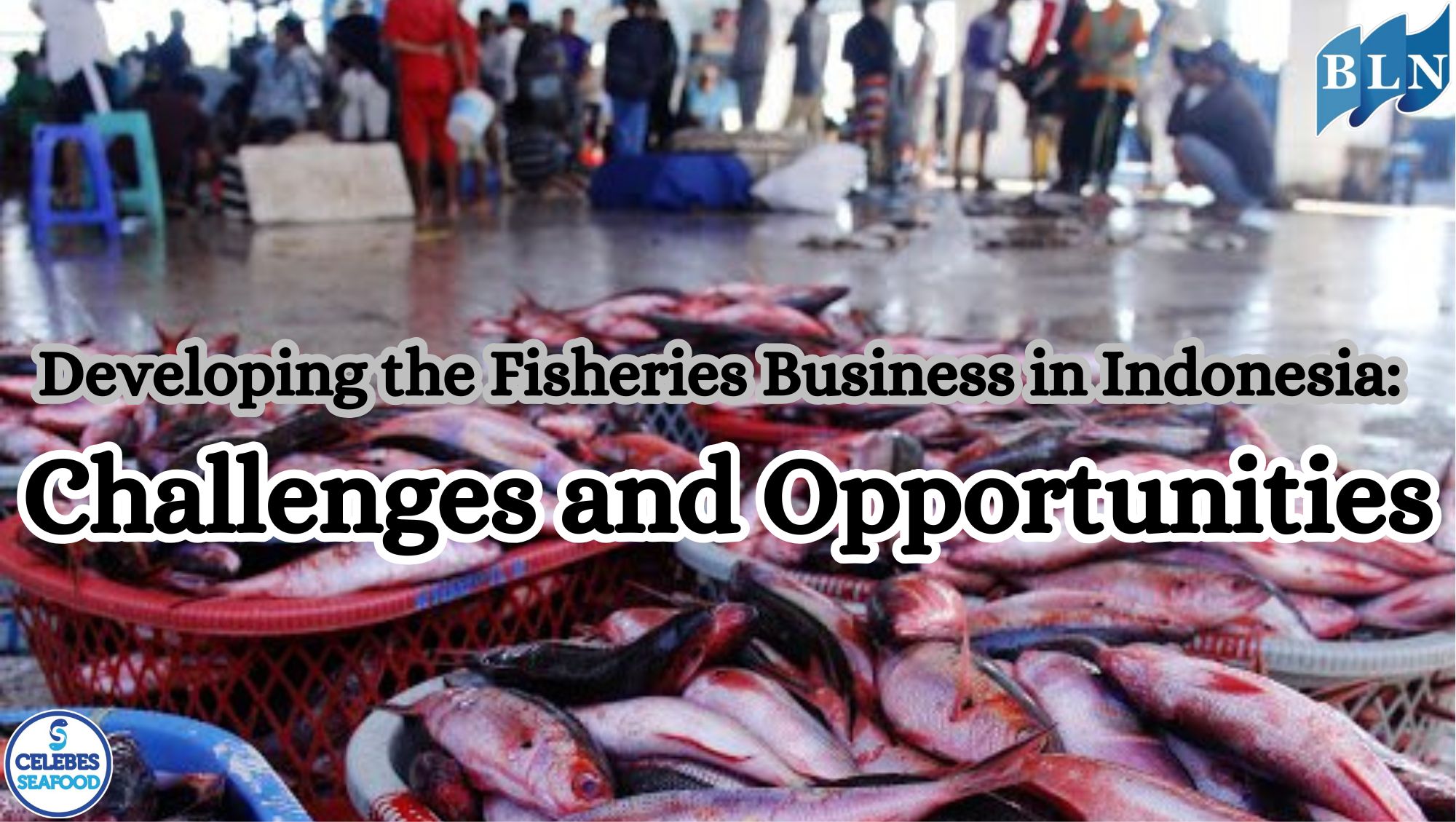 Here are the Developing the Fisheries Business in Indonesia: Challenges and Opportunities